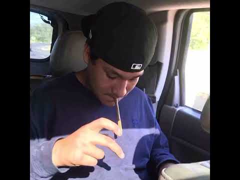 Young ave- You know da deal