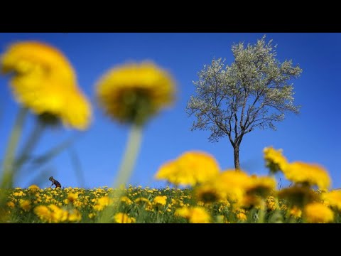 Plenty of sun in southern Germany