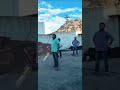 Vijay Sethupathi Latest Video From Shooting Location Playing Cricket Latest Video Tamil Cinema
