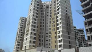 Hubtown Rosewood and Redwood