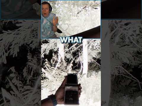 My Biggest Jumpscare Ever?