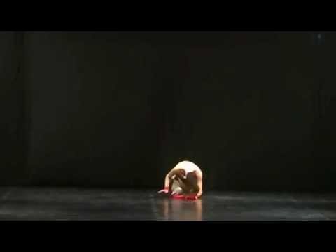 Florescu Ruxana - FIBS Sighisoara 2014