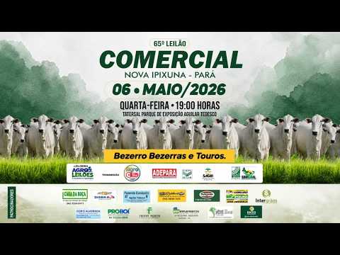 65º LEILÃO COMERCIAL - NOVA IPIXUNA / PA