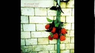 The Pineapple Thief - Remember Us (remastered version)