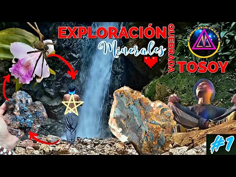 EXPLORACIÓN MINERALES  Quebrada Tosoy MOCOA - PUTUMAYO
