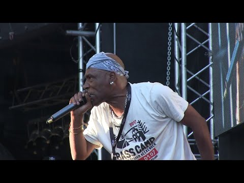 Daddy Freddy , Tippa Irie, Horseman & Starkey Banton - Live at Reggaejam 2018 hq