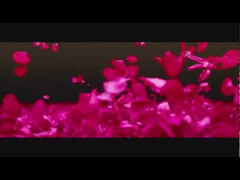 The Silvia Boys, SNSD VS Miike Snow mash up.