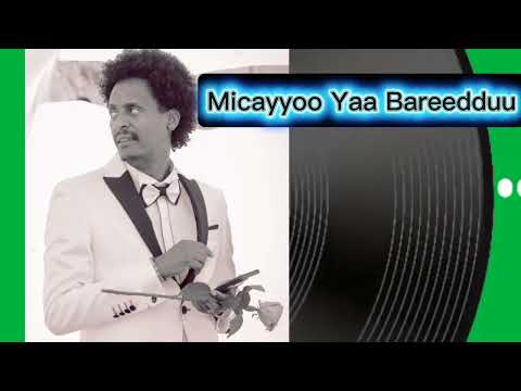 Bilisummaa Raggaasaa Micayyoo Yaa Bareedduu