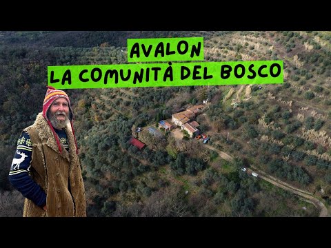 Alla scoperta del Popolo degli Elfi