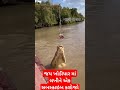 Jay Maa Khodiyar ️