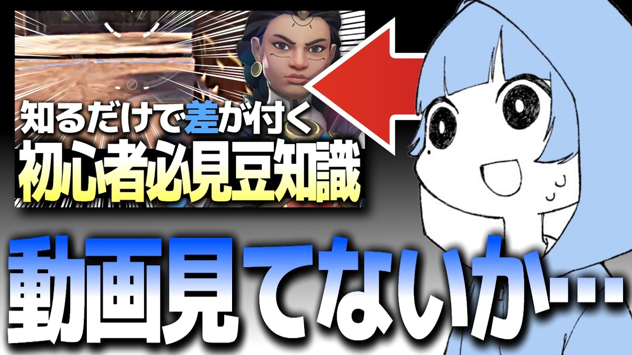 【悲報】前回の動画を見ていないとこうなります…【オーバーウォッチ】