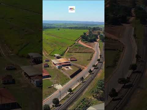 CÂNDIDO RODRIGUES-SP #shorts