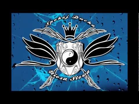 SDNS - Stawiam na to