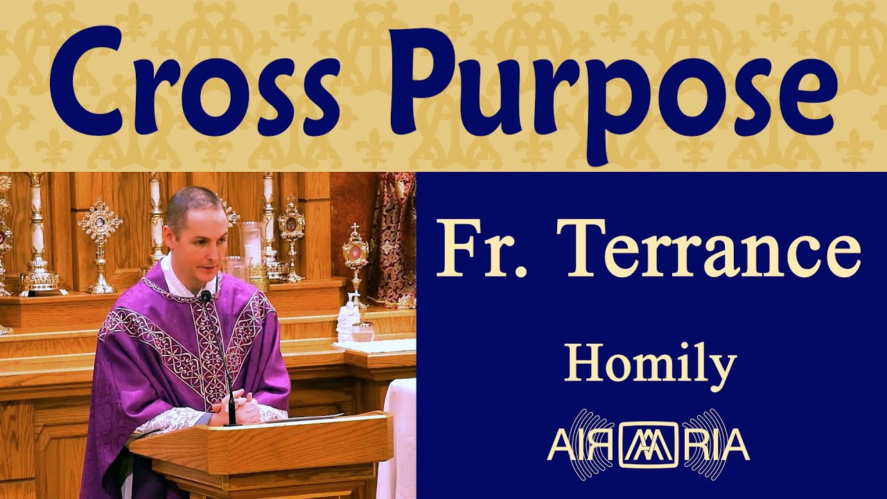 FS #104: The Means, Part 9 - Dec 16 - Homily - Fr Terrance