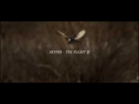 Skyper - The Flight III