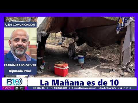 FABIÁN PALO OLIVER - TRABAJO ESCLAVO EN POZO BORRADO - EN "LA MAÑANA ES DE 10"