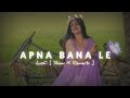 😍 Apna Bana Le Lofi [ Slow X Reverb ] 2024 | Maan Meri Jaan x Ik Tu Hi Hai | Arijit Singh 2024