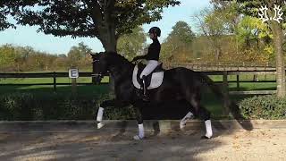 Video of Onyx