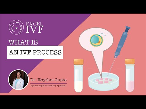 What is IVF? Dr Rhythm Gupta - Excel IVF