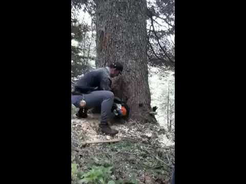 Obaramo ali nismo mjerili prečnik , a koji je? 2019