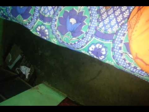 Advik Singh trying to write