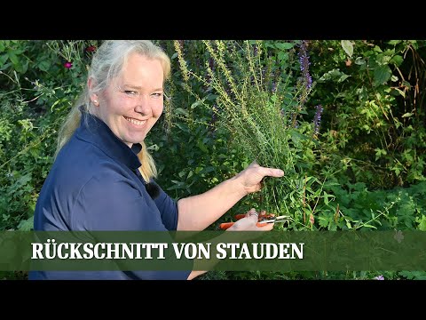 Rückschnitt von Stauden -  Anleitung zum Rückschnitt im Herbst