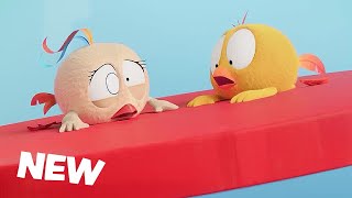 NEW The Spring Game | Where's Chicky? | Cartoon Collection in English for Kids | New episodes