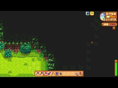Golden Walnut secret in the dark woods by following leaves - Stardew Valley
