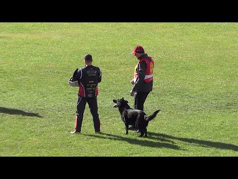 WUSV 2021  CAN 2 - FRANK MCENIRY & FINN VOM HILSBLICK C 78