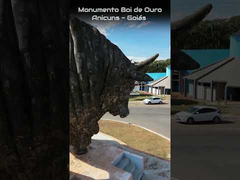 ANICUNS GOIÁS, PROJETO VISÃO AÉREA - MONUMENTO BOI DE OURO.