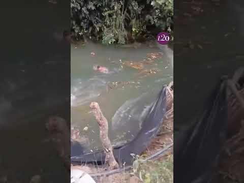 Joven sobrevivió tras ser arrastrado por la corriente de un río en El Tambo, Cauca