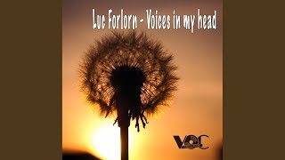 Voices In My Head (Original Mix)
