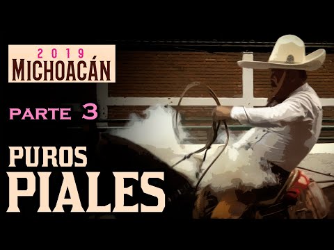 Pure PIALES on the CANVAS part 3 - Morelia Congress 2019