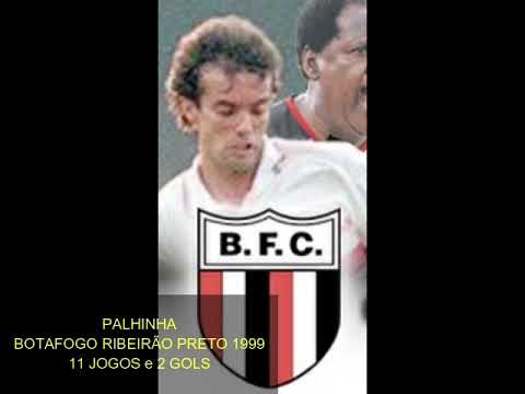 PALHINHA GOLS BOTAFOGO- SP