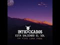 Intoxicados - Esta saliendo el Sol (En vivo Luna Park)