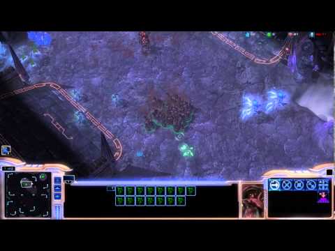 StarCraft II Infested Casters