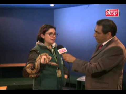 JORNAL DA ASSEMBLEIA, Edição Completa 31/07/14