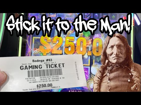 Big Win, New Chicken Area and more! 