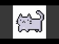 silly cat