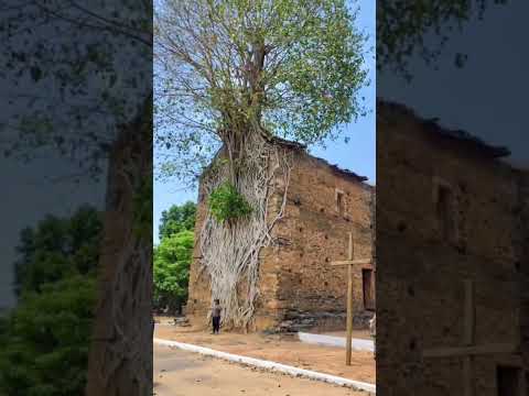 Igreja de Bom Jesus de Matozinhos, Barra do Guaicuí (Minas Gerais)Part 1