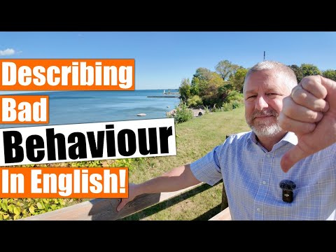 Describing Bad Behaviour in English