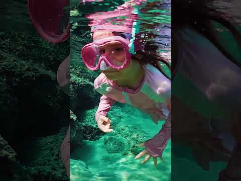 #agfaphoto #photo Free the mini artists 🎉📷 [Realikids Cam Waterproof 2]