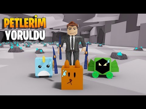 🐶 Petlerim Çooooook Yoruldu! 🐶 | Pet Mining Simulator | Roblox Türkçe