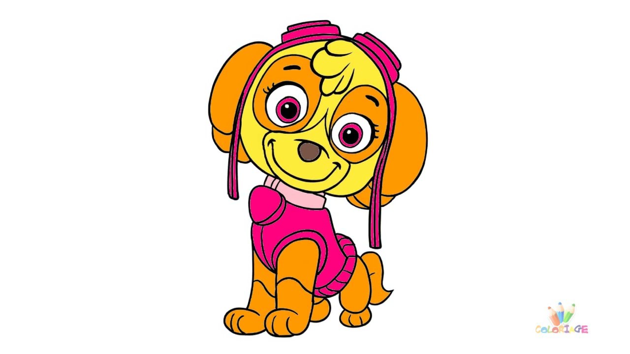 Coloriage pat patrouille stella - Coloriagecrayon