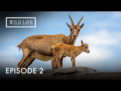 Turkey's Hidden Nature | Destination Wild: Desert Lands Of The Middle East | Episode 2