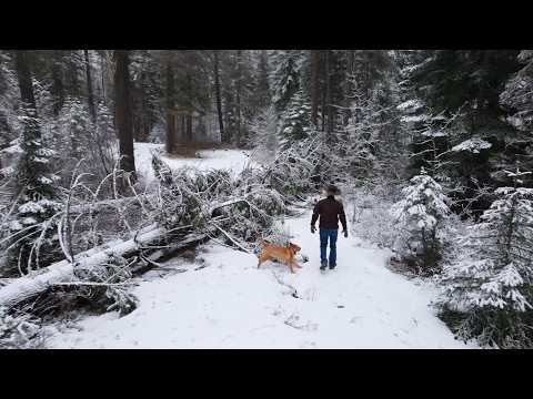 Mountain Ride Walk Cover