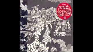 Peace With Every Step - Build an Ark