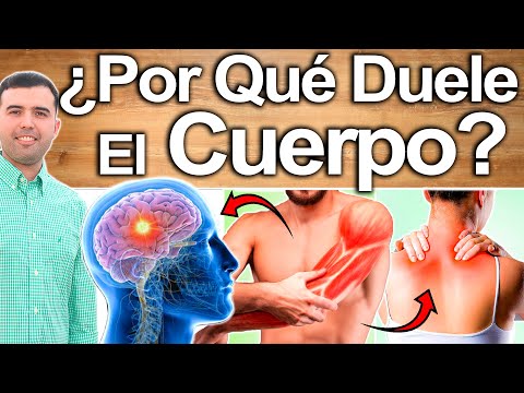 Why Do Your Body and Muscles Ache? - Causes and Solutions to Eliminate Muscle Pain