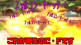【ゆっくり実況】キャプテンファルコンの生態【スマブラsp】