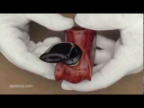 pipa Tom Spanu 2012 - pipe 339